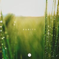 Sine - Purity