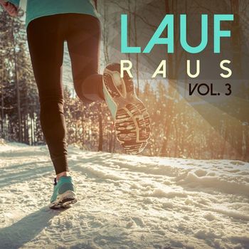 Various Artists - Lauf Raus, Vol. 3