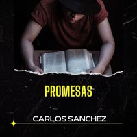 Carlos Sanchez - Promesas