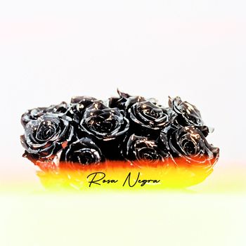 Waze - Rosa Negra (Explicit)