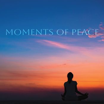 Various Artists - Moments of Peace