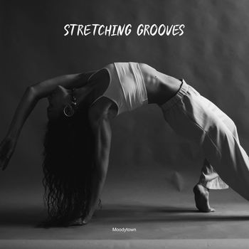 Various Artists - Stretching Grooves