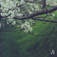 Daigo Hanada - For Grandma