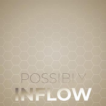 Various Artists - Possibly Inflow