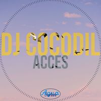 Dj Cocodil - Acces