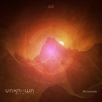 Unknown Reality - Microcosm