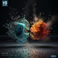 Xylym - Black Hole Heavy / Dark Matter