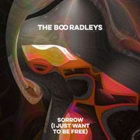 The Boo Radleys - Sorrow (I just want to be free)