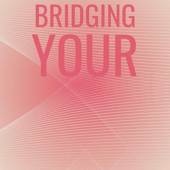 Various Artists - Bridging Your