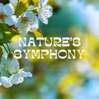Relaxing Spa Sounds - Nature's Symphony: Relaxing Sounds of Rain, Thunder, Birds and Ocean Waves