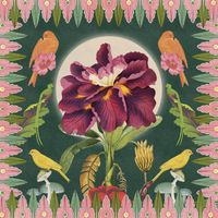 Monster Rally - Moon Flower Bloom (Captain Planet's Dub Remix)