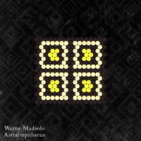 Wayne Madiedo - Astral-opithecus