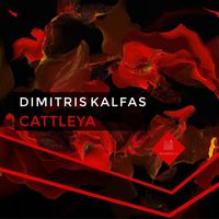 Dimitris kalfas - Cattleya