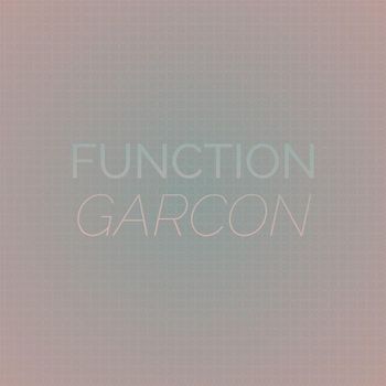 Various Artists - Function Garcon