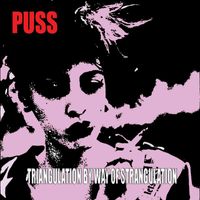 Puss - Triangulation by Way of Strangulation
