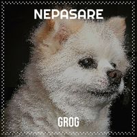 Grog - Nepasare