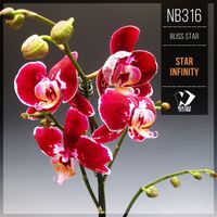 Bliss Star - Star Infinity