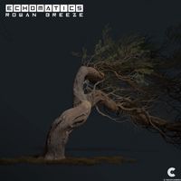 Echomatics - Rowan Breeze