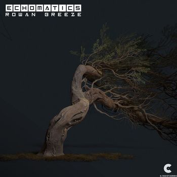 Echomatics - Rowan Breeze
