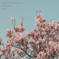 Satin Jackets, Panama - Alive