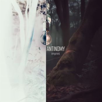 Imprint - Antinomy