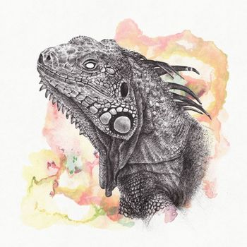 Great Dane - Epsilon Iguana (Explicit)
