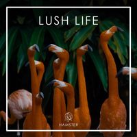 Hamster - Lush Life (Explicit)