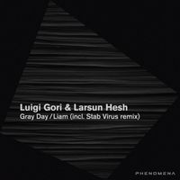 Luigi Gori, Larsun Hesh - Gray Day