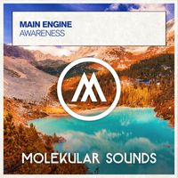 Main Engine - Awareness