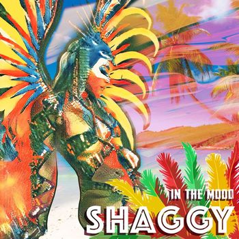 Shaggy - In The Mood (Explicit)