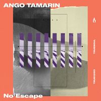 Ango Tamarin - No Escape (Extended Mix)