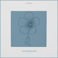 Job Roggeveen - Vlas
