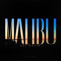 Ali Gatie - Malibu