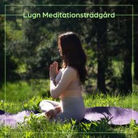 Mindfulness meditation världen - Lugn Meditationsträdgård: Meditation för Stress och ångest