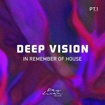 Deep Vision - In Remember of House, Pt. 1