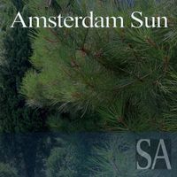 Various Artists - Amsterdam Sun