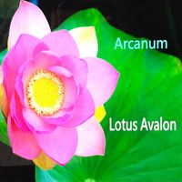 Arcanum - Lotus Avalon