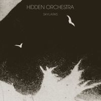 Hidden Orchestra - Skylarks