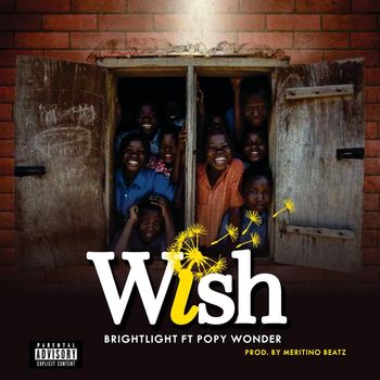 Bright Light - Wish (Explicit)