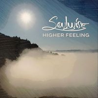 Soulwise - Higher Feeling