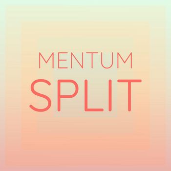 Various Artists - Mentum Split