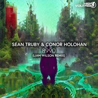 Sean Truby, Conor Holohan - 8990 (Liam Wilson Remix)