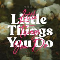Peregrine PH - Little Things You Do