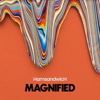 Ham Sandwich - Magnified