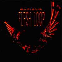 Sapisvr - FLESH LOOP
