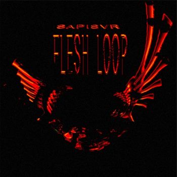 Sapisvr - FLESH LOOP