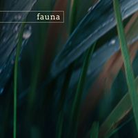 fauna - badlands (nature)