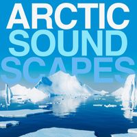 Jonathan Elias, David Ashok Ramani - Arctic Soundscapes