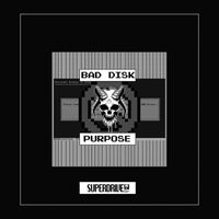 Bad Disk - Purpose