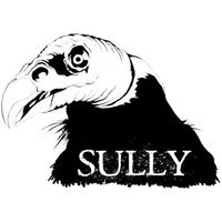 Sully - The Tony Demo